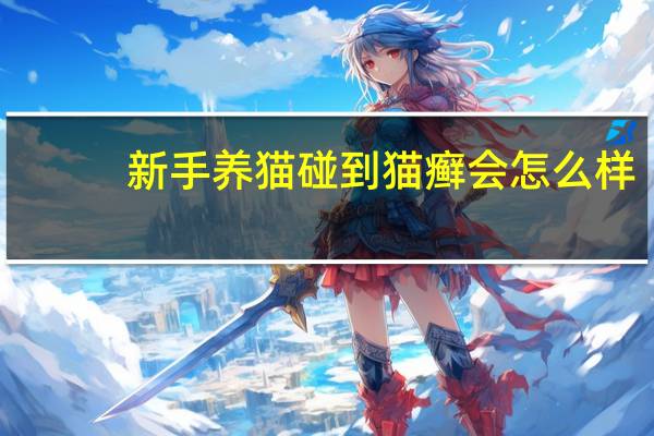 新手养猫碰到猫癣会怎么样