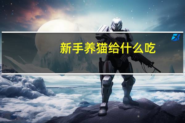 新手养猫给什么吃