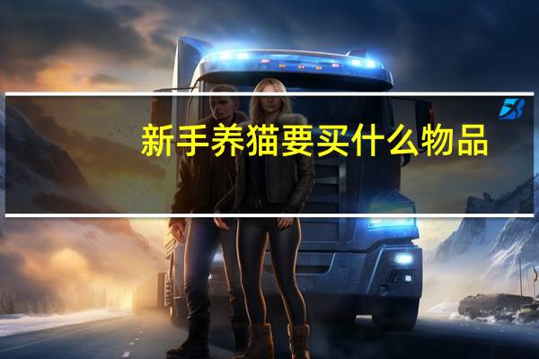 新手养猫要买什么物品