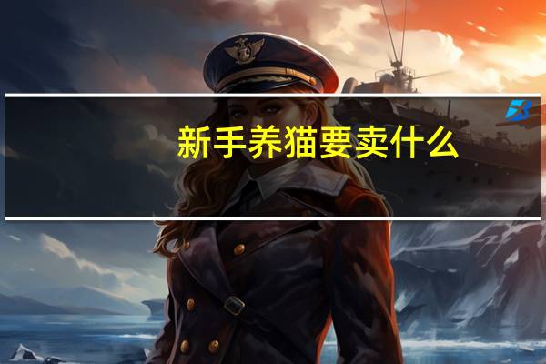 新手养猫要卖什么