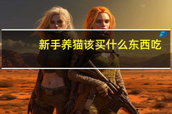 新手养猫该买什么东西吃