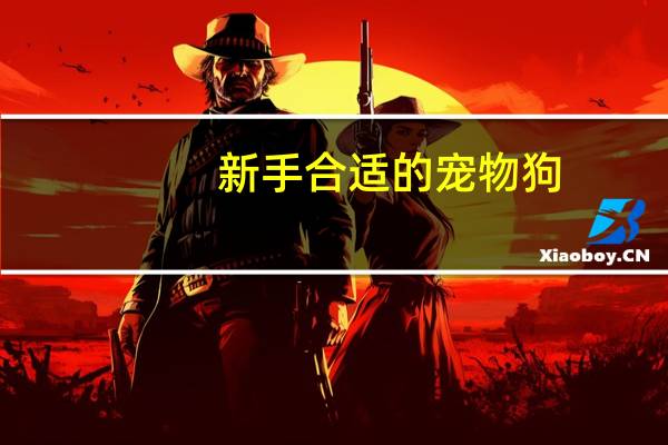 新手合适的宠物狗