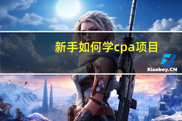 新手如何学cpa项目