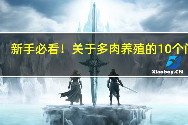 新手必看！关于多肉养殖的10个问题