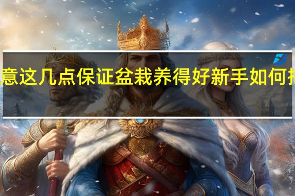 新手注意这几点保证盆栽养得好 新手如何把盆栽养得好