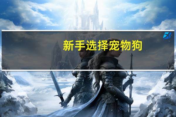 新手选择宠物狗