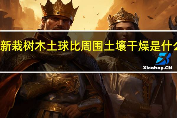 新栽树木土球比周围土壤干燥是什么原因