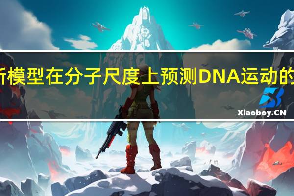 新模型在分子尺度上预测DNA运动的灵活性