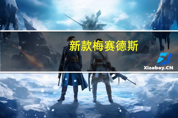 新款梅赛德斯 - 奔驰G级轿车与SCHÖCKL合作