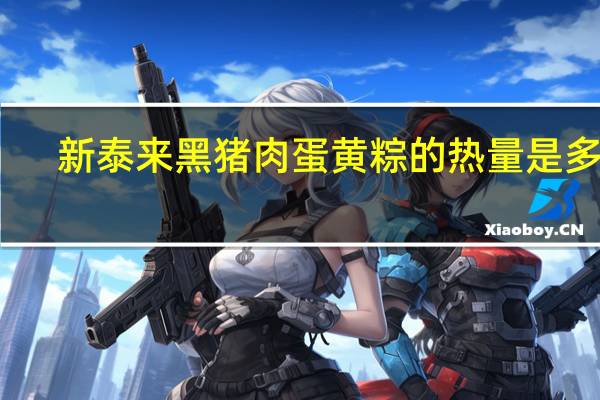 新泰来 黑猪肉蛋黄粽的热量是多少
