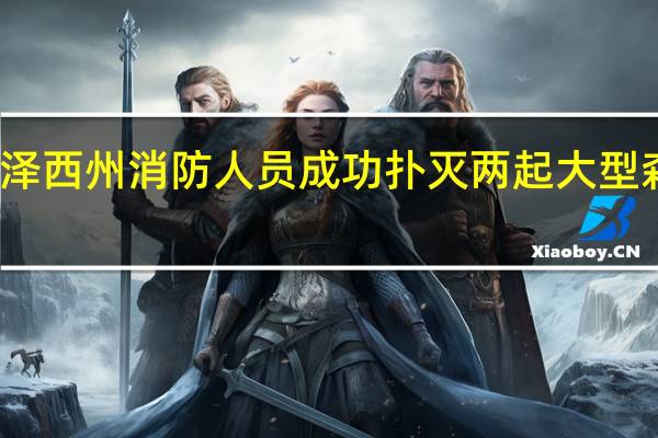 新泽西州消防人员成功扑灭两起大型森林火灾