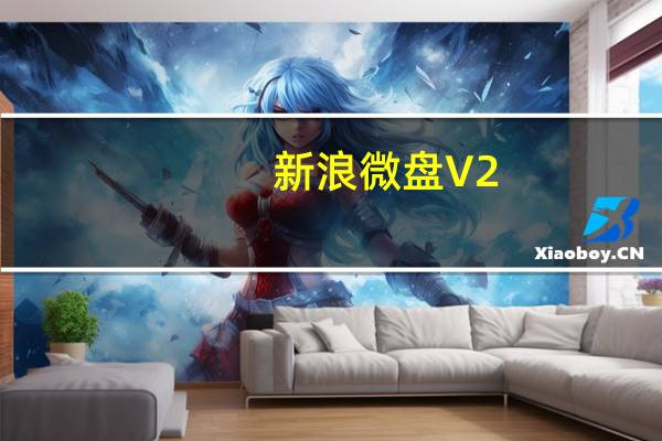 新浪微盘 V2.5.2 官方电脑版（新浪微盘 V2.5.2 官方电脑版功能简介）