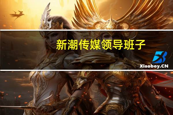 新潮传媒领导班子（张继学-新潮传媒集团创始人、董事长简介）