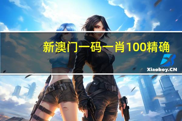 新澳门一码一肖100精确，素交精选答案落实_PT962.553