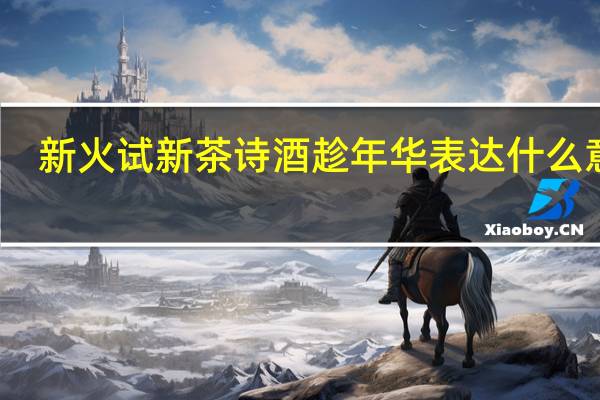 新火试新茶诗酒趁年华表达什么意思