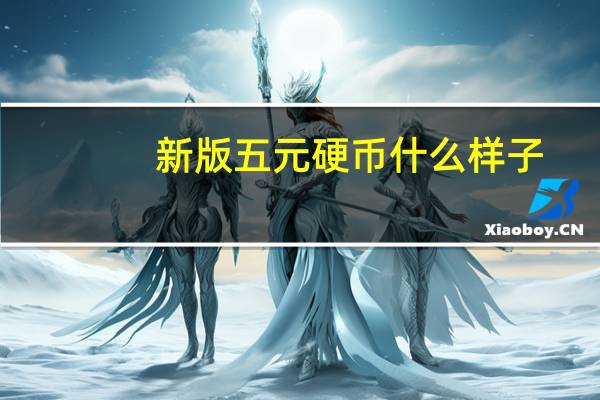 新版五元硬币什么样子