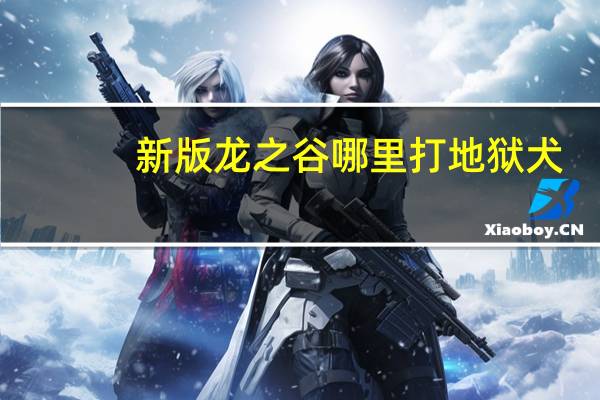 新版龙之谷哪里打地狱犬（《龙之谷》龙之谷地狱犬玩家心得）