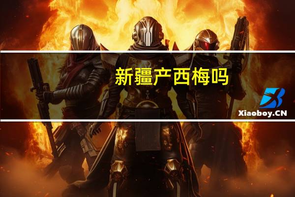 新疆产西梅吗