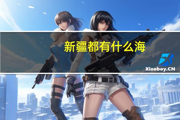 新疆都有什么海