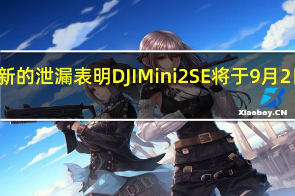 新的泄漏表明DJI Mini 2 SE将于9月2日推出