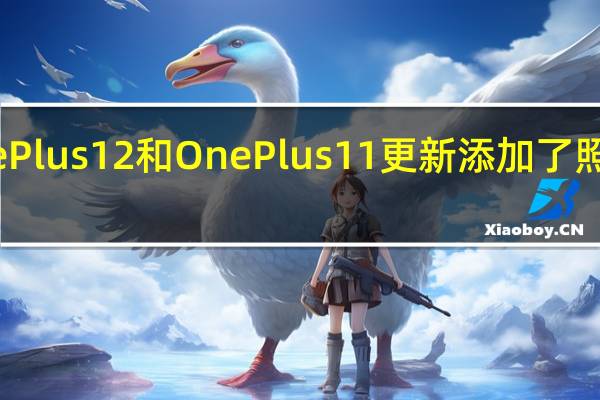 新的OnePlus12和OnePlus11更新添加了照片拼贴等功能