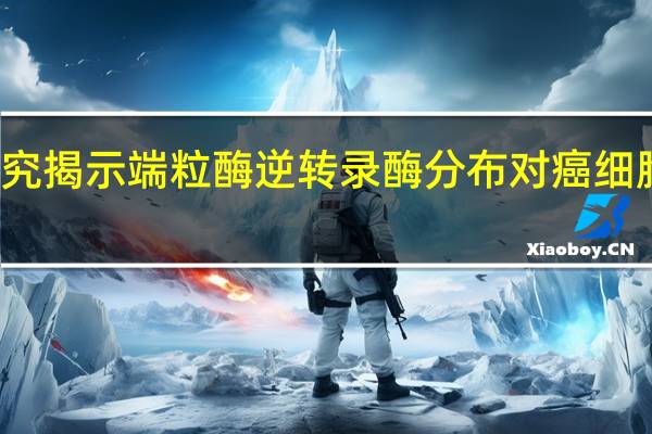 新研究揭示端粒酶逆转录酶分布对癌细胞凋亡影响