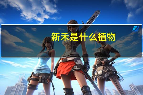 新禾是什么植物