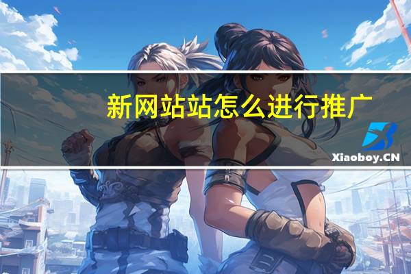 新网站站怎么进行推广，怎么seo优化排名