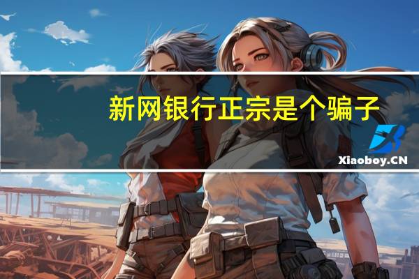 新网银行正宗是个骗子（俺已去新网视频）