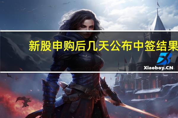 新股申购后几天公布中签结果（新股申购后几天公布中签）