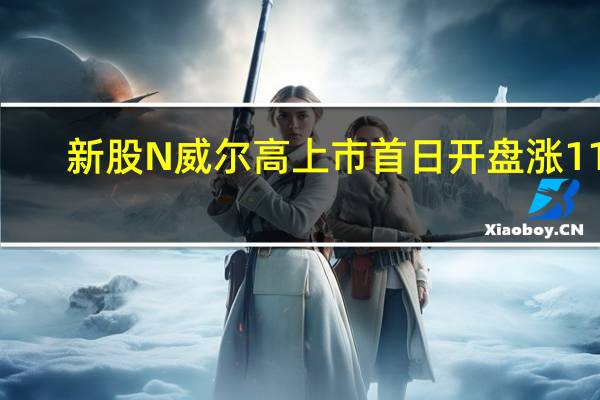 新股N威尔高上市首日开盘涨118.14