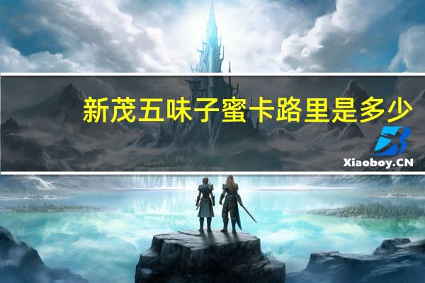 新茂 五味子蜜卡路里是多少