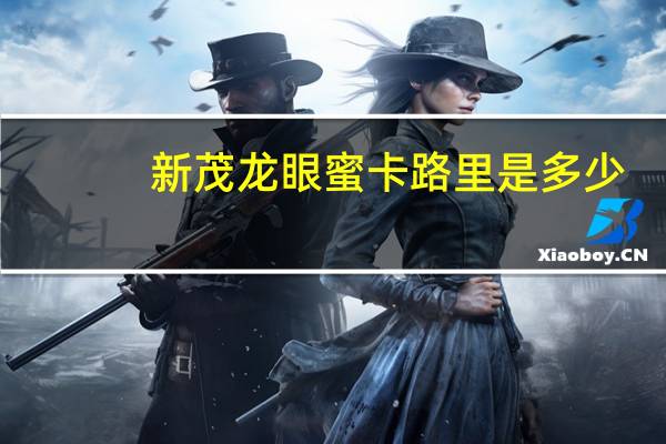 新茂 龙眼蜜卡路里是多少