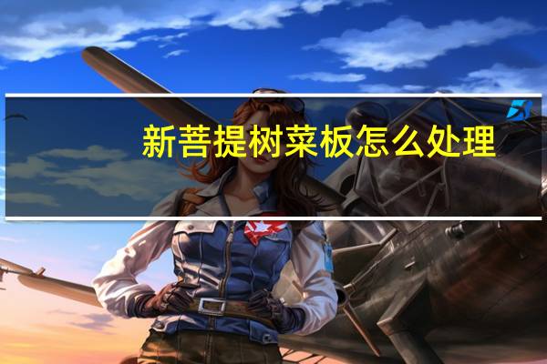 新菩提树菜板怎么处理
