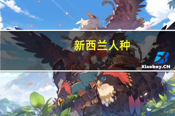 新西兰人种（新西兰人）
