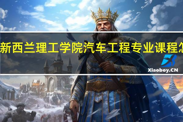 新西兰理工学院汽车工程专业课程怎样呢