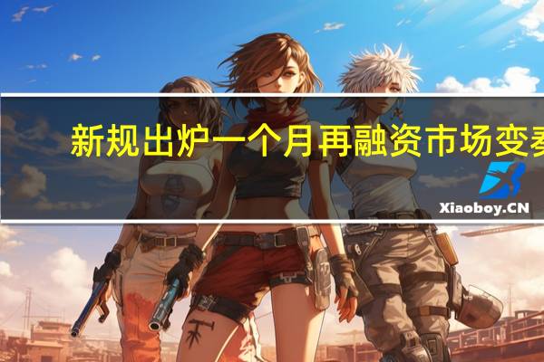 新规出炉一个月 再融资市场变奏