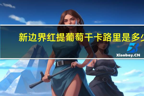 新边界 红提葡萄干卡路里是多少