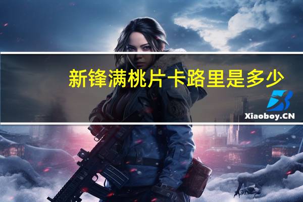 新锋 满桃片卡路里是多少