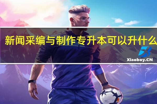 新闻采编与制作专升本可以升什么专业?