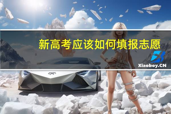 新高考应该如何填报志愿