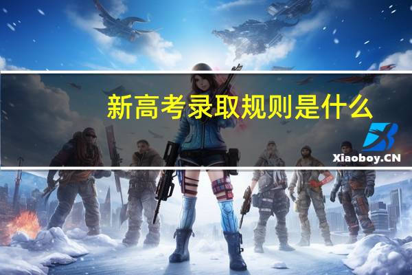 新高考录取规则是什么