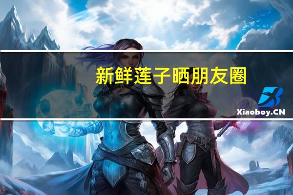 新鲜莲子晒朋友圈