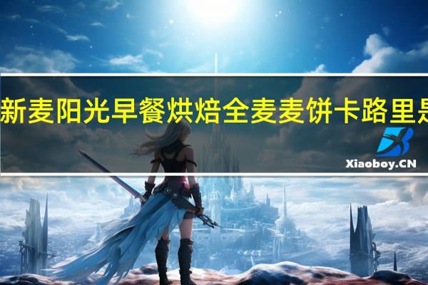 新麦阳光 早餐烘焙全麦麦饼卡路里是多少