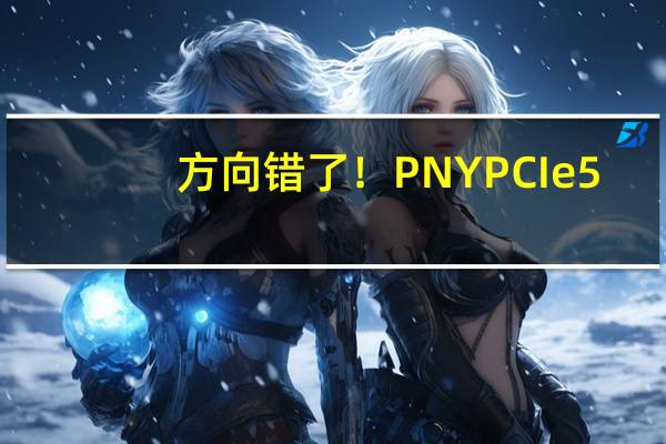 方向错了！PNY PCIe 5.0 SSD竟然用上双风扇 仍旧残血