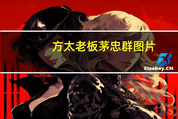 方太老板茅忠群图片（茅忠群-宁波方太厨具有限公司董事长兼总经理介绍）