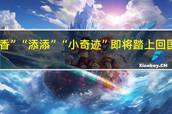 旅美大熊猫“美香”“添添”“小奇迹”即将踏上回国旅程 到底什么情况呢