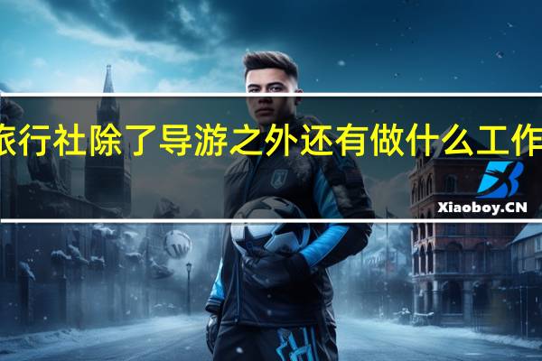 旅行社除了导游之外还有做什么工作的人呢