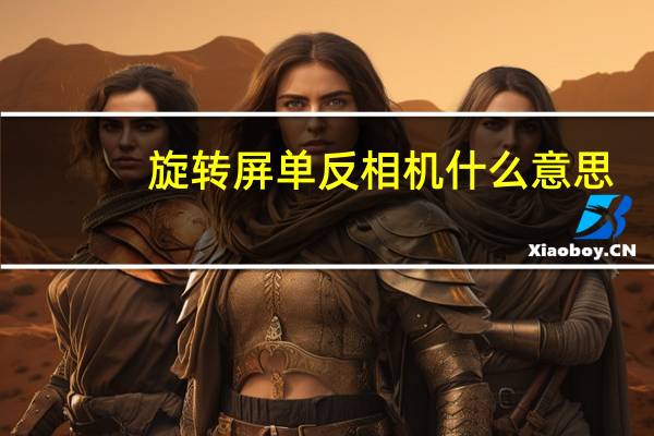 旋转屏单反相机什么意思（单反相机什么意思）