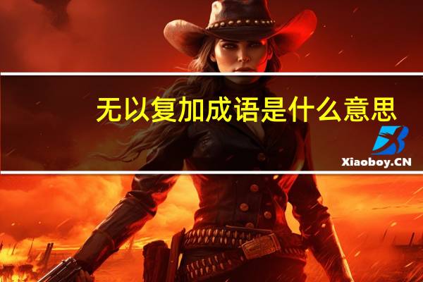 无以复加成语是什么意思